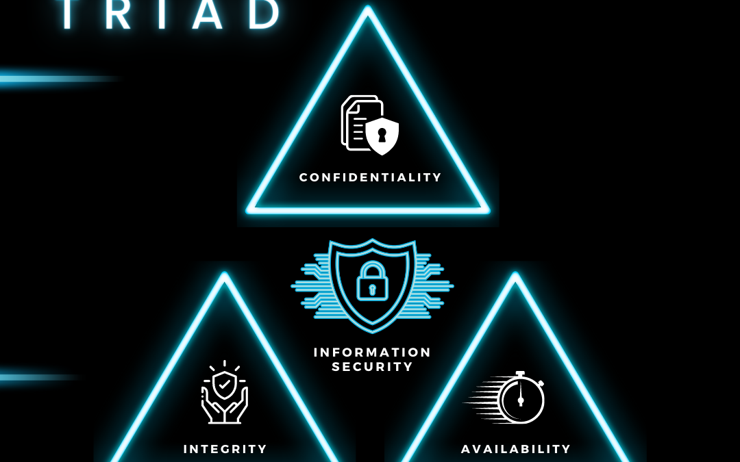 Basics 101: The CIA Triad