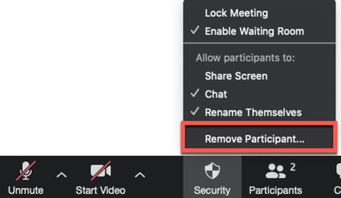 Zoom Remove Participant